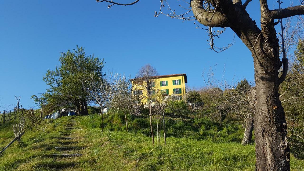 Villa Maria Mignanego Bagian luar foto